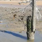 Apartment Les Muguets Mit Garten Und Grillplatz By Interhome *