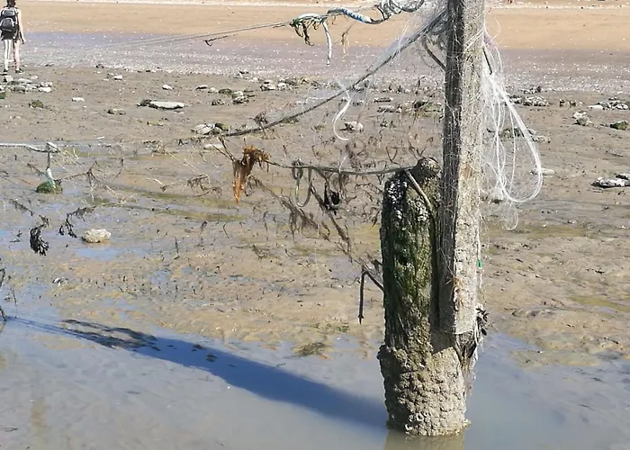 Apartment Les Muguets Mit Garten Und Grillplatz By Interhome *